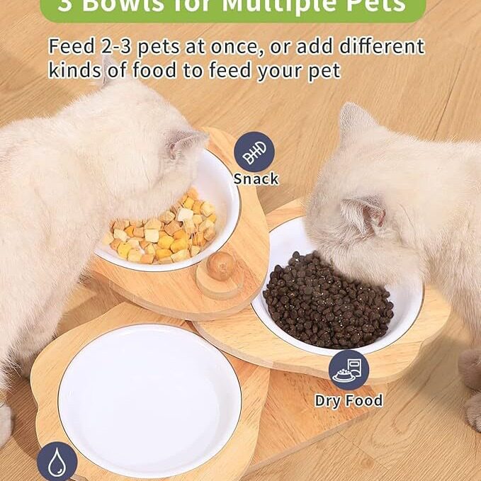 高架猫碗木质凸起宠物喂食器木架小型犬餐具套装喂食站