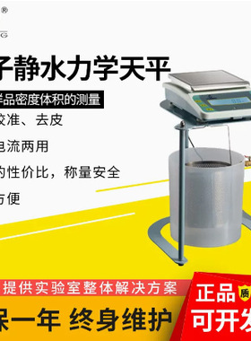 促销上海越平性价比高的DSJ-5电子静水力学天平5kg /0,.1G