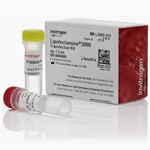 Invitrogen  L3000015/L3000008赛默飞转染试剂Lipofectamine3000