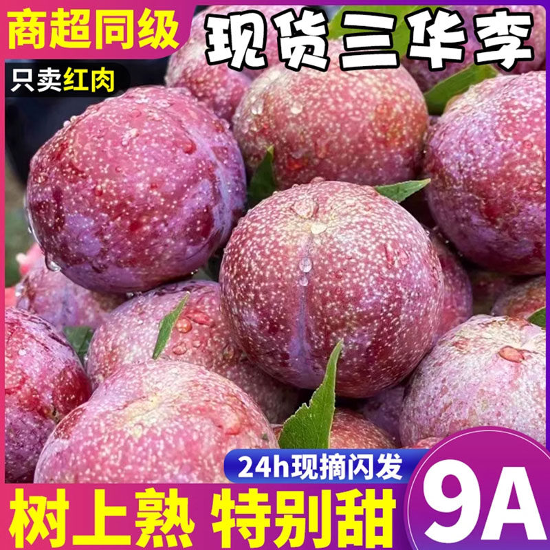 正宗现货红心三华李新鲜时令水果当季樱桃脆甜特大果整箱李子5斤