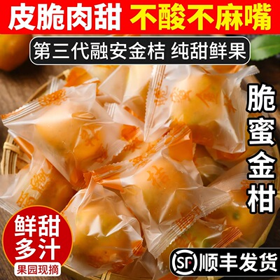 【顺丰】广西融安脆蜜金柑第三代金桔特大果新鲜纯甜水果现摘现发