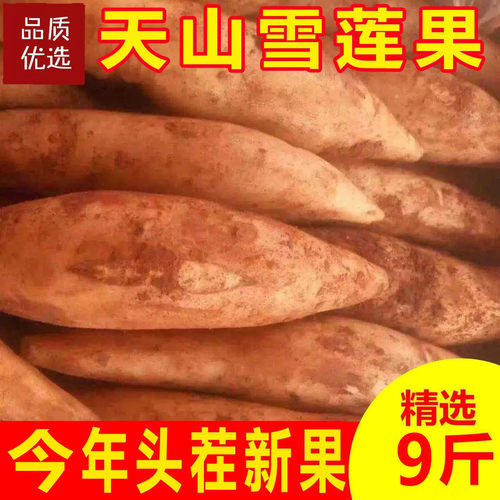 天山雪莲果现挖新鲜红心特级9斤装云南一连清甜当季水果整箱包邮