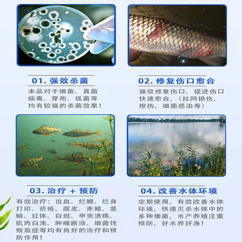 速发聚维剂碘水产养殖复合碘杀菌消毒酮黄鳝泥鳅鱼虾蟹塘杀菌消毒