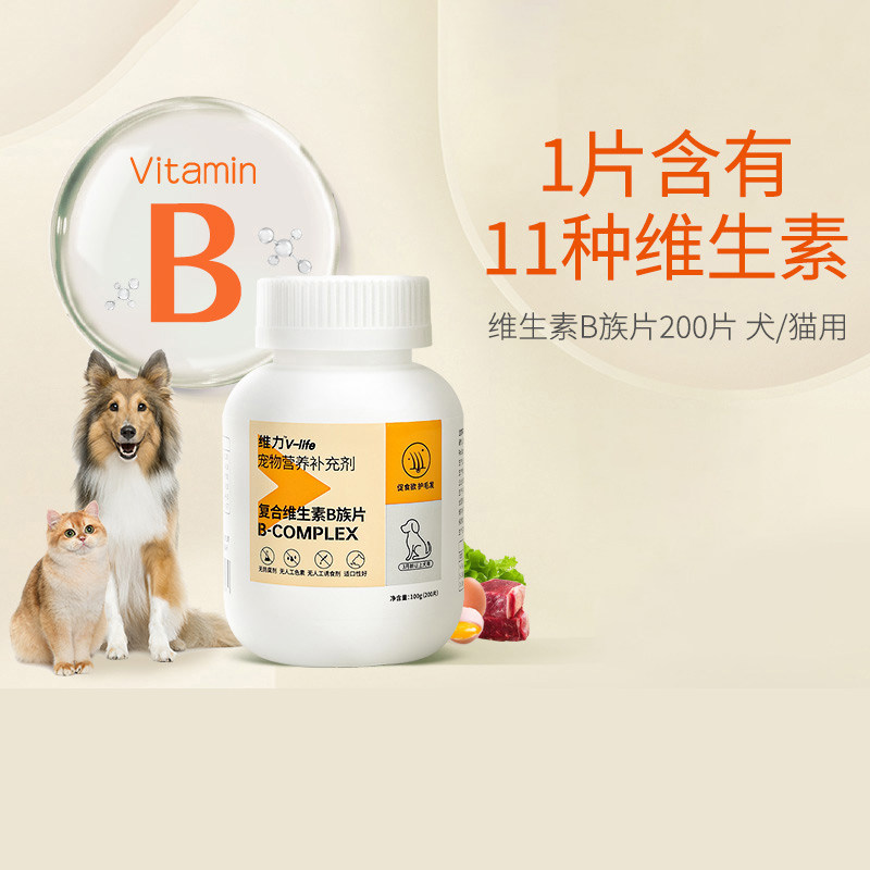速发RedD营g猫多维片猫咪用复合维生素片猫藓多维bo充补养品