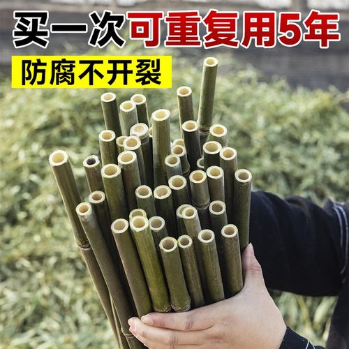 速发竹竿菜园搭架支架爬藤架小竹子杆2米米长细竹竿架支撑棍防腐