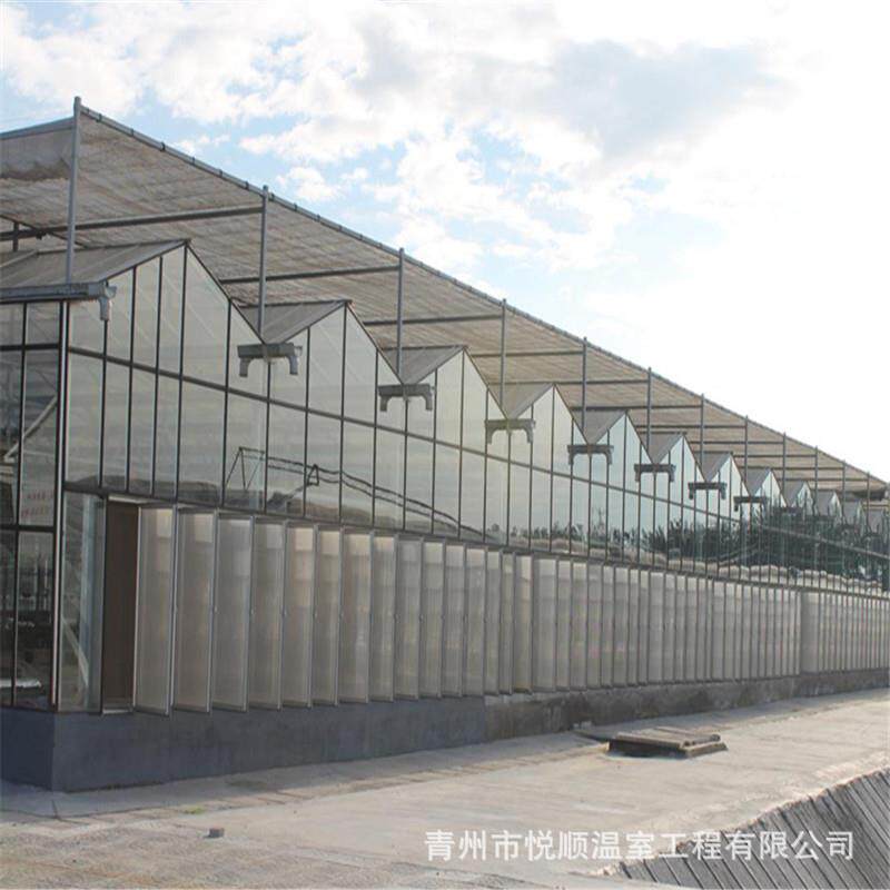 文洛型连栋智能玻璃温室 花卉农业养殖温室大棚工程