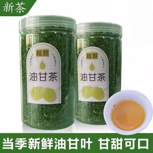 潮汕特产油甘茶野生油甘叶茶可食用泡茶消食开胃油柑叶甘甜养生茶