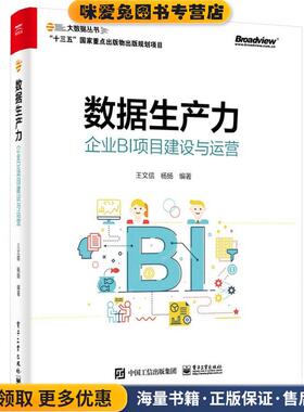 数据生产力:企业BI项目建设与运营(正版收藏品)王文信杨扬 编著电子工业出版社9787121403026