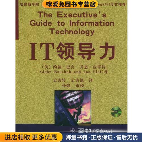 IT领导力(正版收藏品)（美）巴舍（Baschab,J.）,（美）皮耶特（Piot,J.） 著,孟秀转 等译电子工业出版社9787121013447