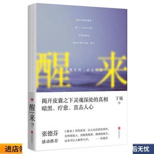 醒来:凡真实的,必会相遇(正版收藏品) 丁锐北京联合出版公司出版社9787550293830