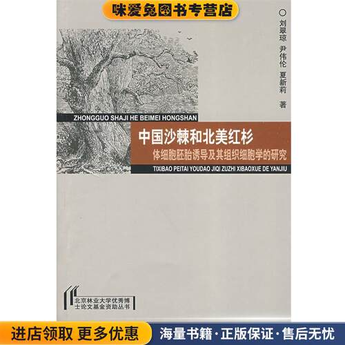 中国沙棘和北美红杉体细胞胚胎诱导及其组织细胞学的研究(正版收藏品)刘翠琼中国环境出版社9787802098107