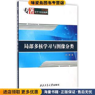 局部多核学习与图像分类(正版收藏品)韩一娜西北工业大学出版社9787561239346