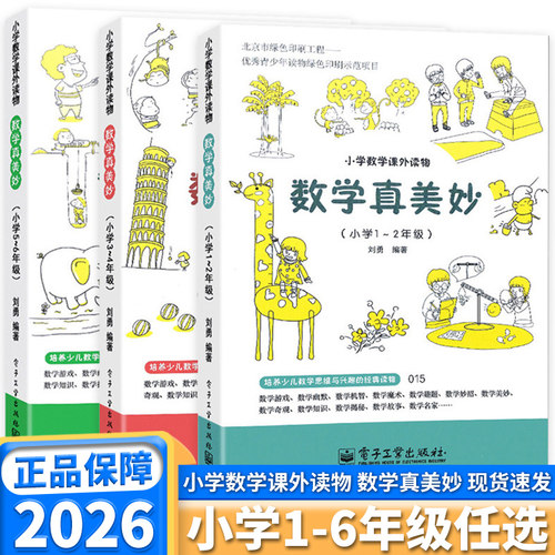 2026版小学数学真美妙课外读物