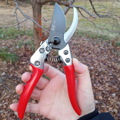 易速SJ803修枝剪 园艺剪刀果树修枝剪子园林苗木花枝剪刀省力剪刀