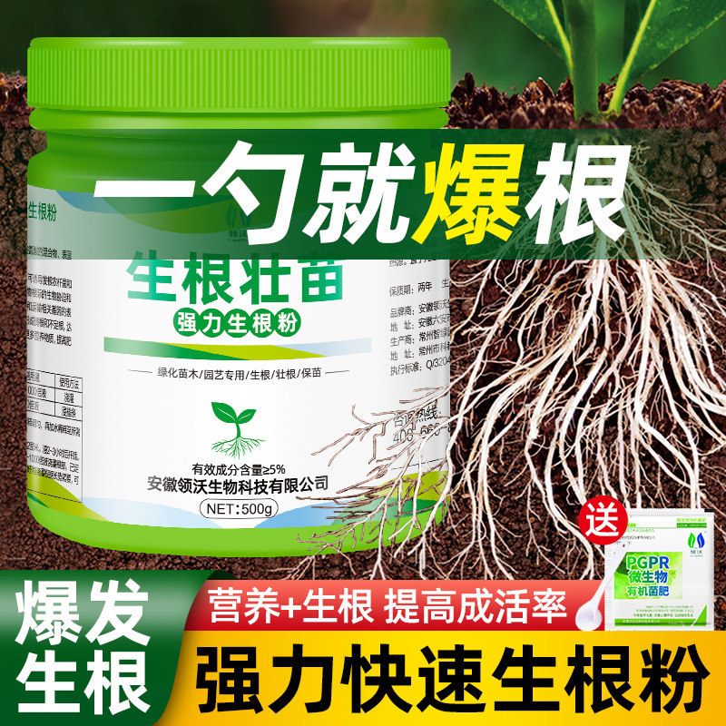 速发生根粉植栽通用树木壮苗生根剂扦插移养绿植用强力速效药水营