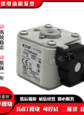 170M4467 170M4468 170M4469 170M5458巴斯曼熔断器现货170M5459