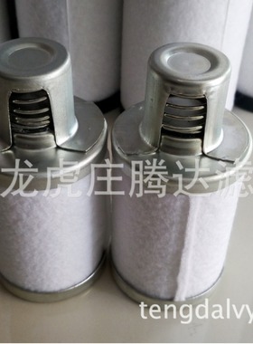 18971莱宝AF4AF8 D2A D4AD4B D8B真空泵滤芯