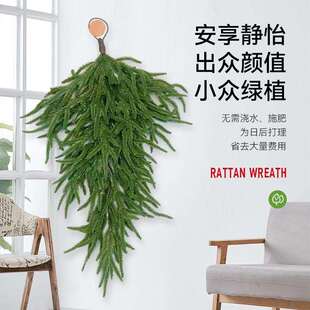 仿真圣诞藤条PE倒挂绒诺贝松塑料叶子仿真树叶吊挂装饰品