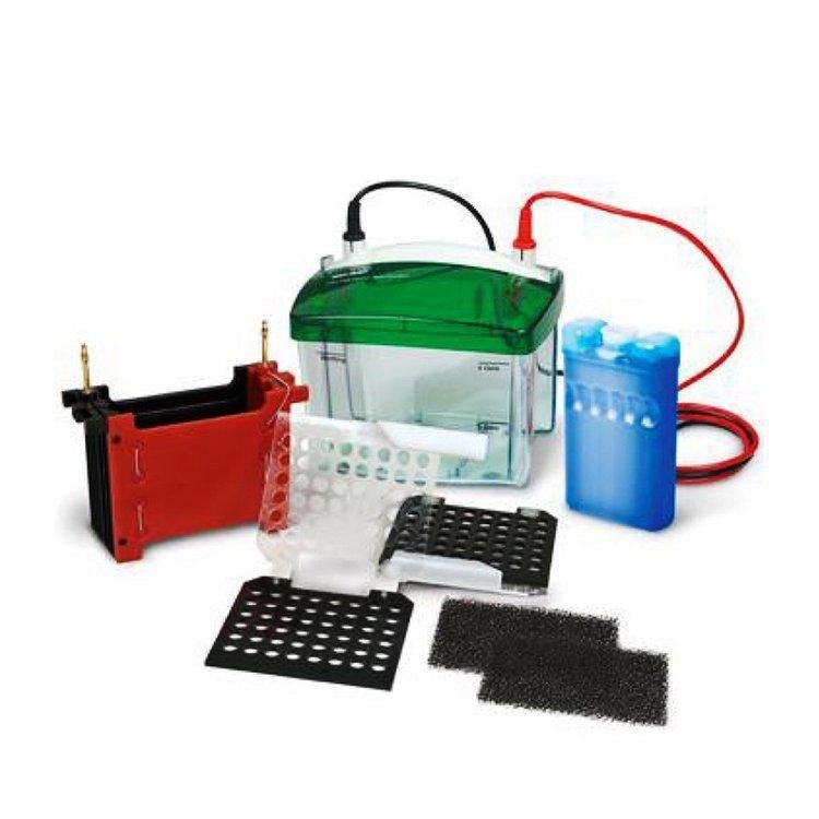 伯乐小型垂直电泳仪带槽科研实验室湿式 Trans-Blot 1703930电源