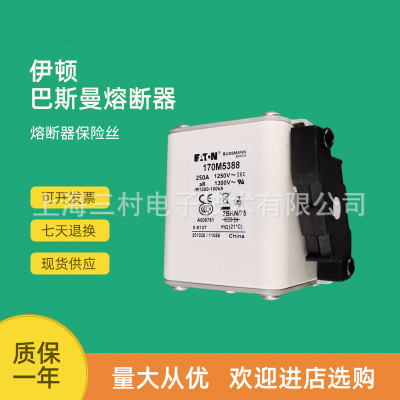 全新原装快速熔断器保险丝170M5449170M5452170M5458170M5459
