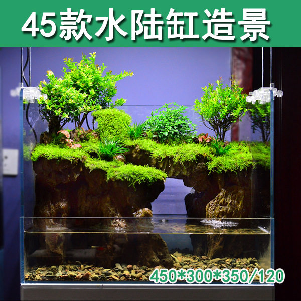 45圆角水陆缸造景微景观