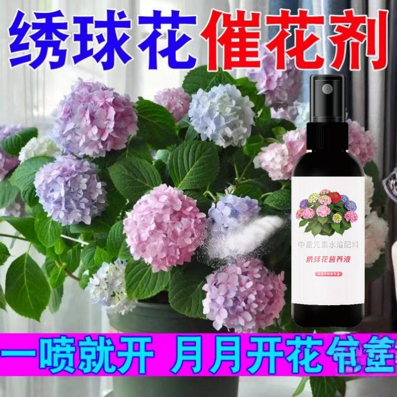 绣球花营养液花卉专用肥料喷雾式植物护理液盆栽花苗好养植物肥料