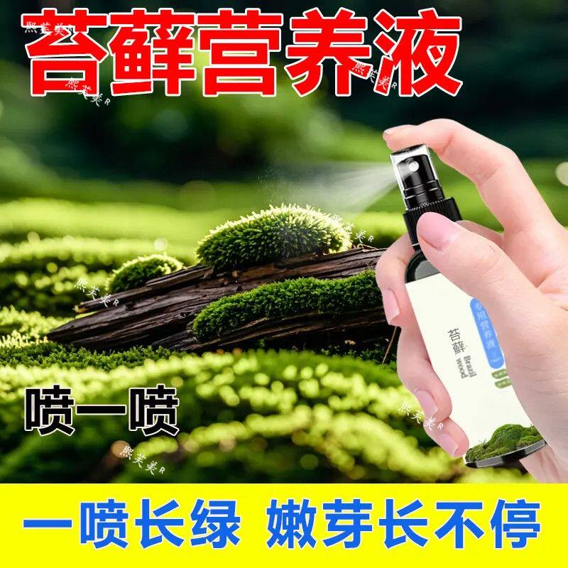 苔藓营养液喷施液体生孢子生长期专用100ml便携无机肥快速生根液