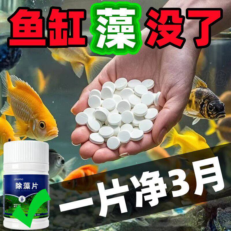 鱼缸强力除藻片剂一片净3月