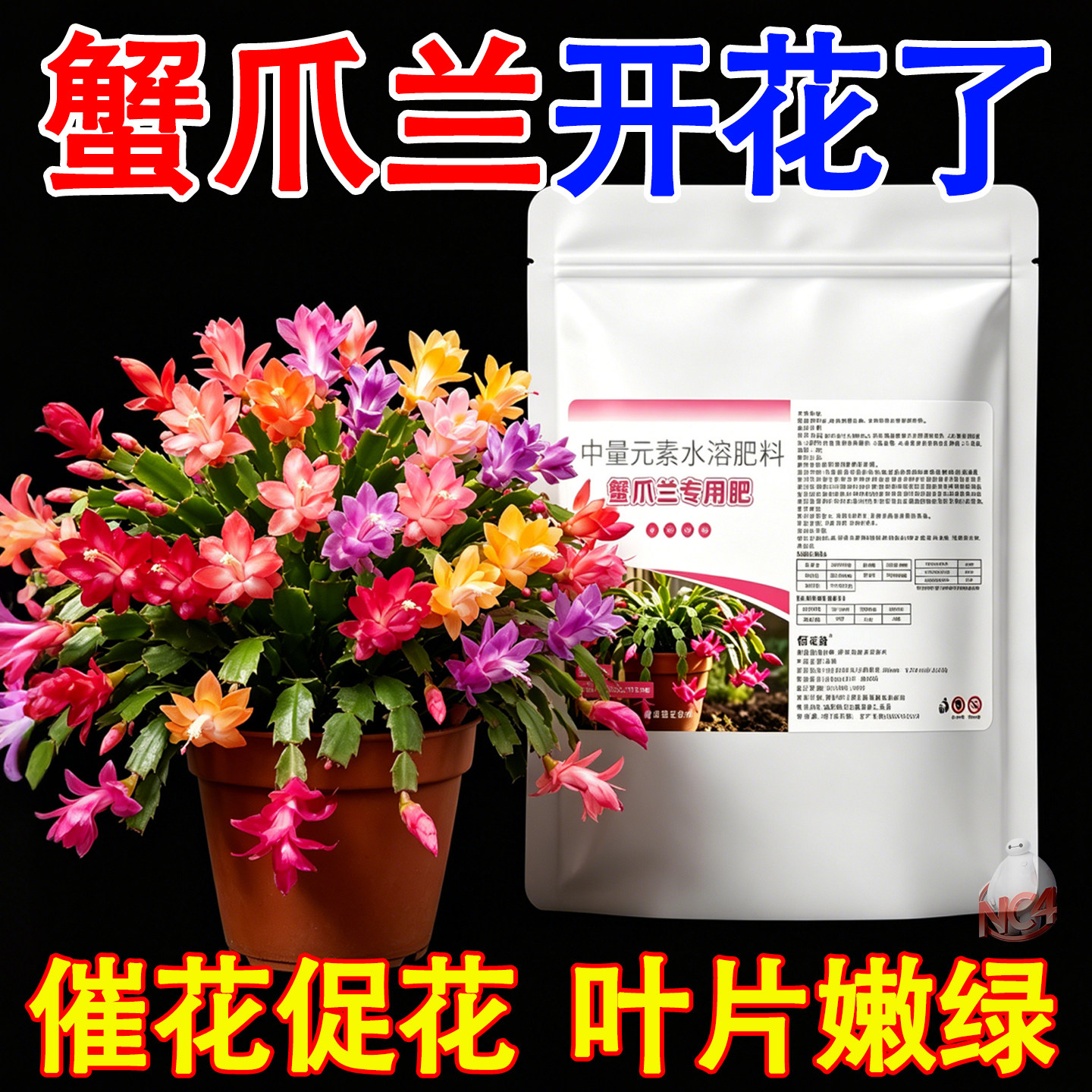 蟹爪兰专用颗粒缓释肥促生根花