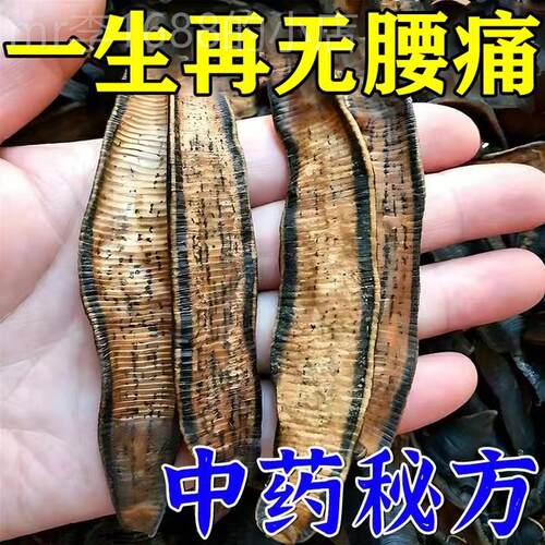 新品腰椎管狭窄椎间盘突r出腰肌劳损腰椎压迫坐骨神经腰屁股痛腿