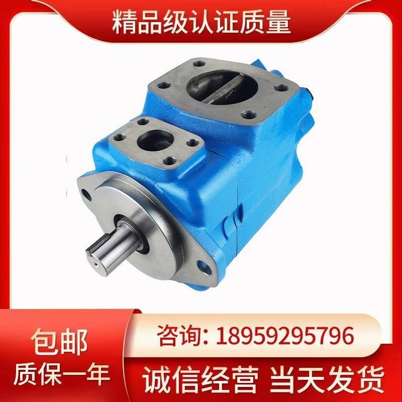 极速义盛液压45V-50A-1A/1B/1C/1GD-22R高压叶片泵液压泵压力泵油