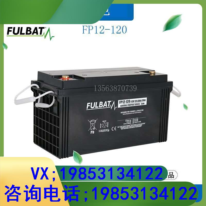 蓄电池((12V120AH20/HR)FP12-120 照明/UPS应急/直流屏机房 3C数码配件 电子辞典/学习机配件 原图主图