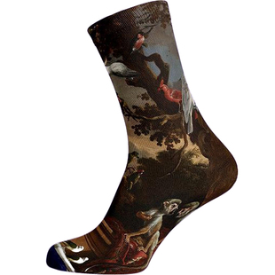 竹纤维3D无缝打印梅尔基奥尔德宏德柯特油画动物园鹦鹉男女袜RED