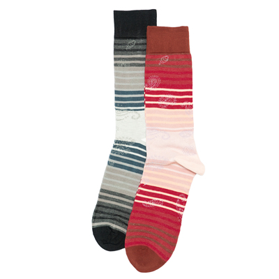 春夏薄款丝光棉条纹腰果花Paisley生命与吉祥中筒男袜41-47VA