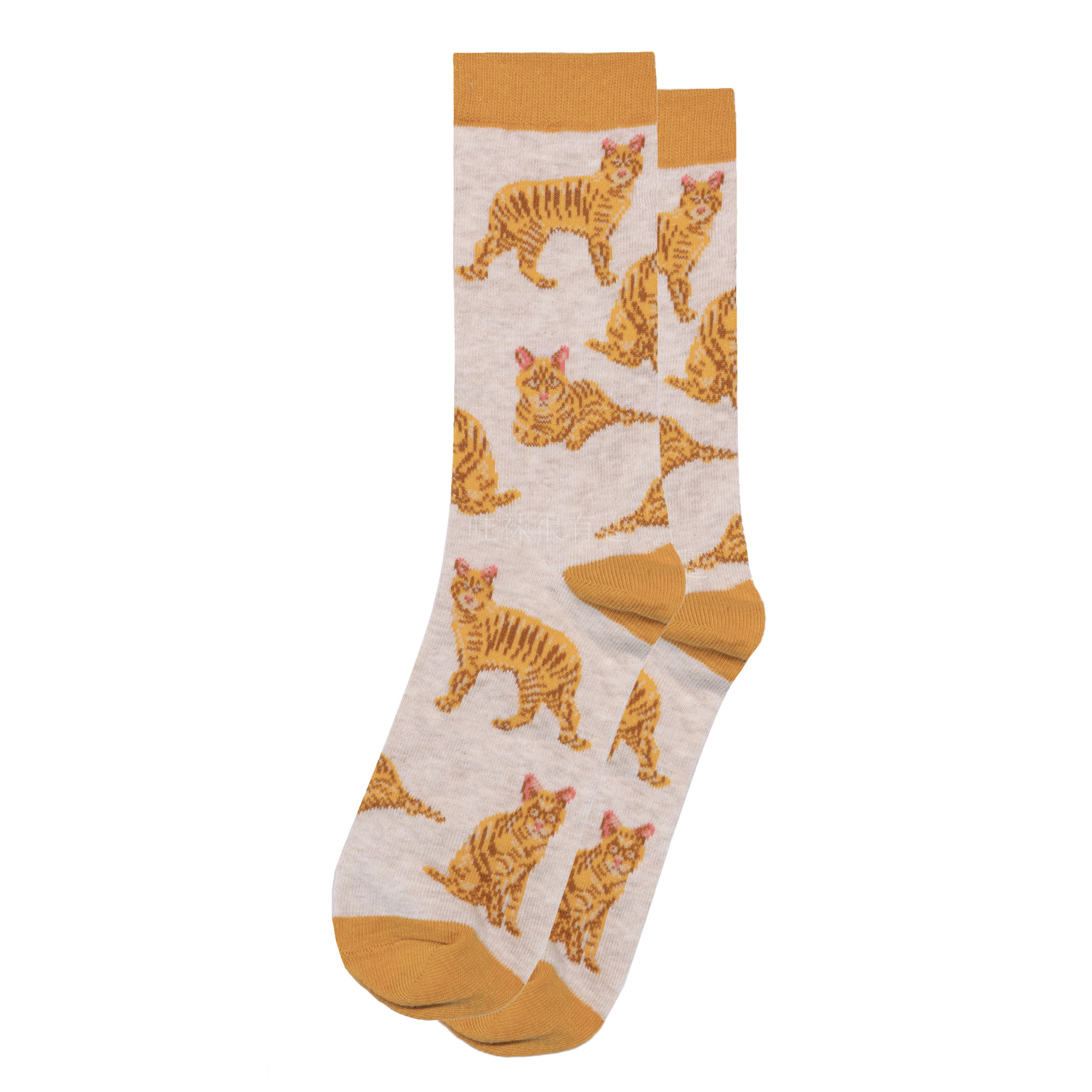 女士舒适棉质Orange Tabby Cat橘色虎斑猫女袜36-40码HD012