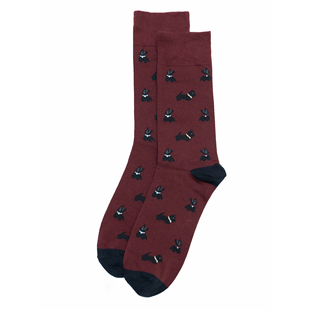 舒适棉质薄棉Scottish Terrier苏格兰梗犬狗狗春秋中筒男袜TR