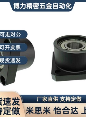 替代方法兰轴承座组件BGSBB6902ZZ-25 BGSBB6002ZZ-30 BGSBB6202Z