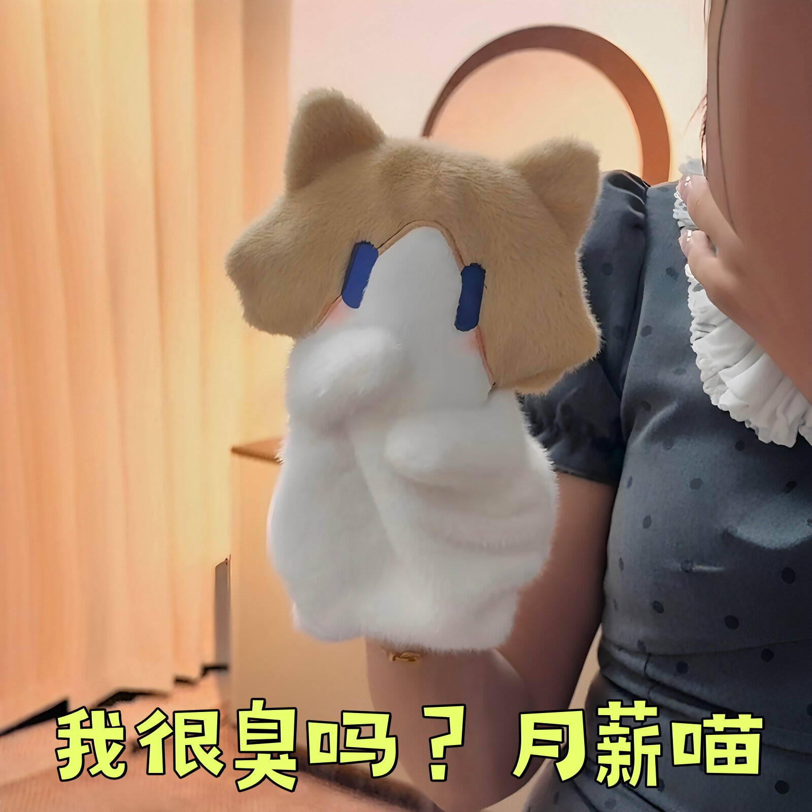 月薪喵手偶可爱小猫咪玩偶我很臭吗互动手套公仔治愈解压捂嘴娃娃