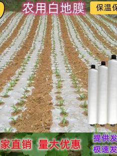 黑白色地膜农用种植保温保湿胶纸塑料薄膜大棚蔬菜果树园建筑护路