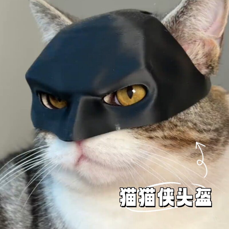 小猫配饰宠物搞怪帅气安全帽蝙蝠侠cos道具小猫装扮搞笑面具猫咪
