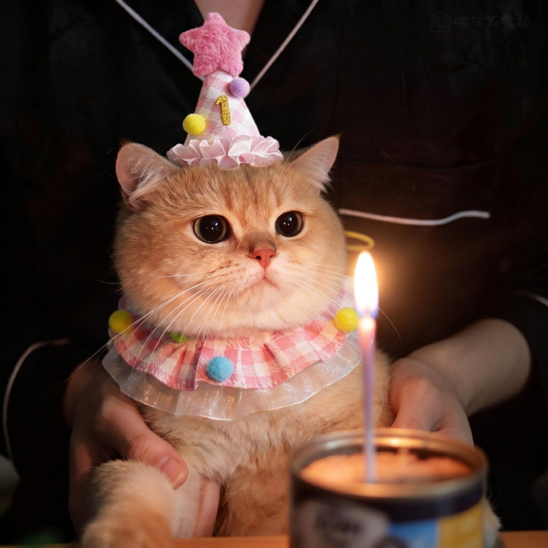 宠物口水巾猫咪围脖生日装扮小猫围兜小配饰装饰生日帽拍照道具