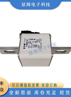 全新保险丝熔断器170M5733 170M5734 170M5735 170M5738 170M5739