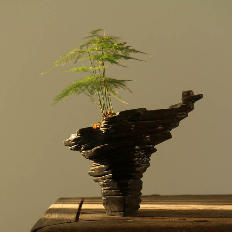 紫砂花盆菖蒲盆微型文竹桌面微景观苔藓异形盆景盆