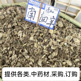南细辛 细辛 整株 带根叶 干货 土细辛马蹄香苗细辛全草干货细辛