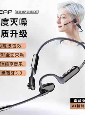 Oleap黄鹂智声无线降噪静谧通话挂耳式头戴灭噪蓝牙耳机游戏续航