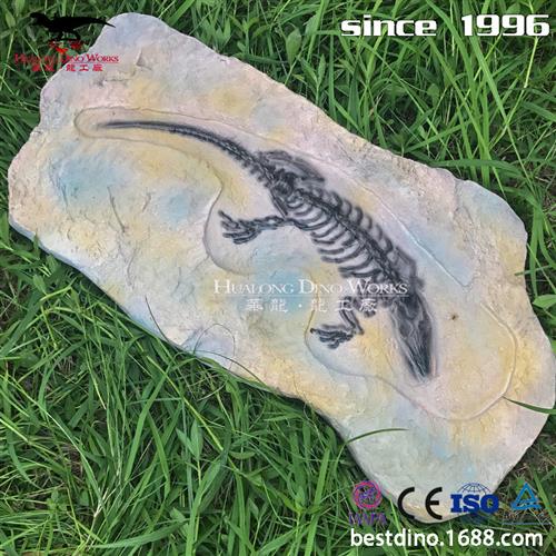 仿真恐龙动物化石居家收藏美陈摆件博物馆商场教学展品工厂制作.