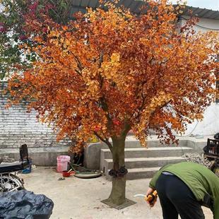 仿真银杏树装饰植物树仿真塑料树枝景区酒店园林装饰人造景观假树