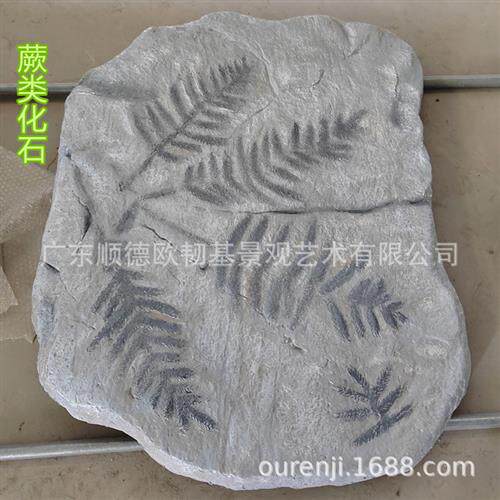 玻璃钢鱼类化石三叶虫龙模型科普教学地质古生物动物标本原石雕塑