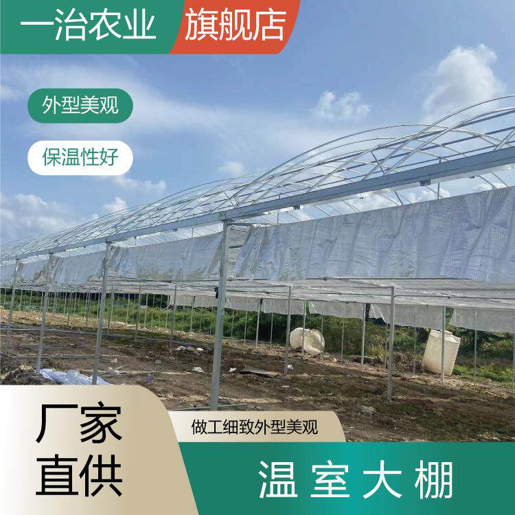 通风温室大棚蔬菜育苗养殖棚瓜棚楼顶骨架种植花卉户外遮阳大棚