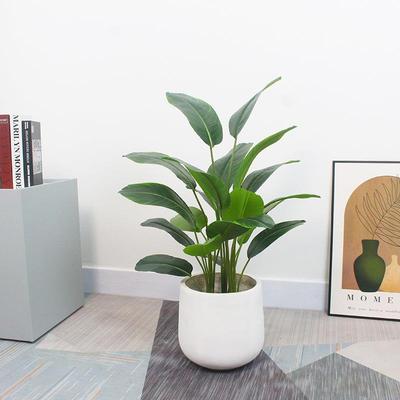 北欧旅人蕉仿真绿植盆栽五杆香蕉叶室内装饰假树造景家居摆件